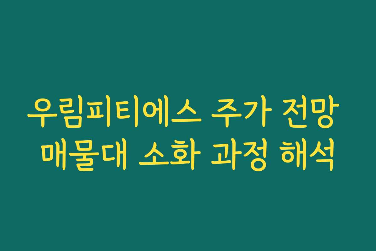 우림피티에스 주가 전망 매물대 소화 과정 해석