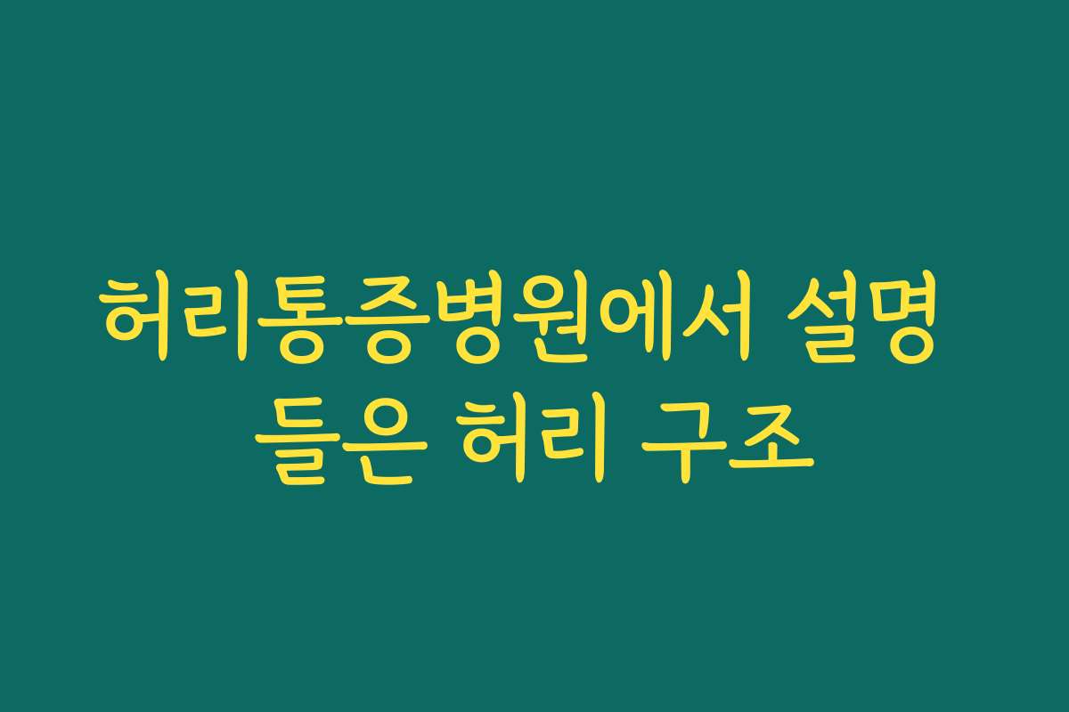 허리통증병원에서 설명 들은 허리 구조