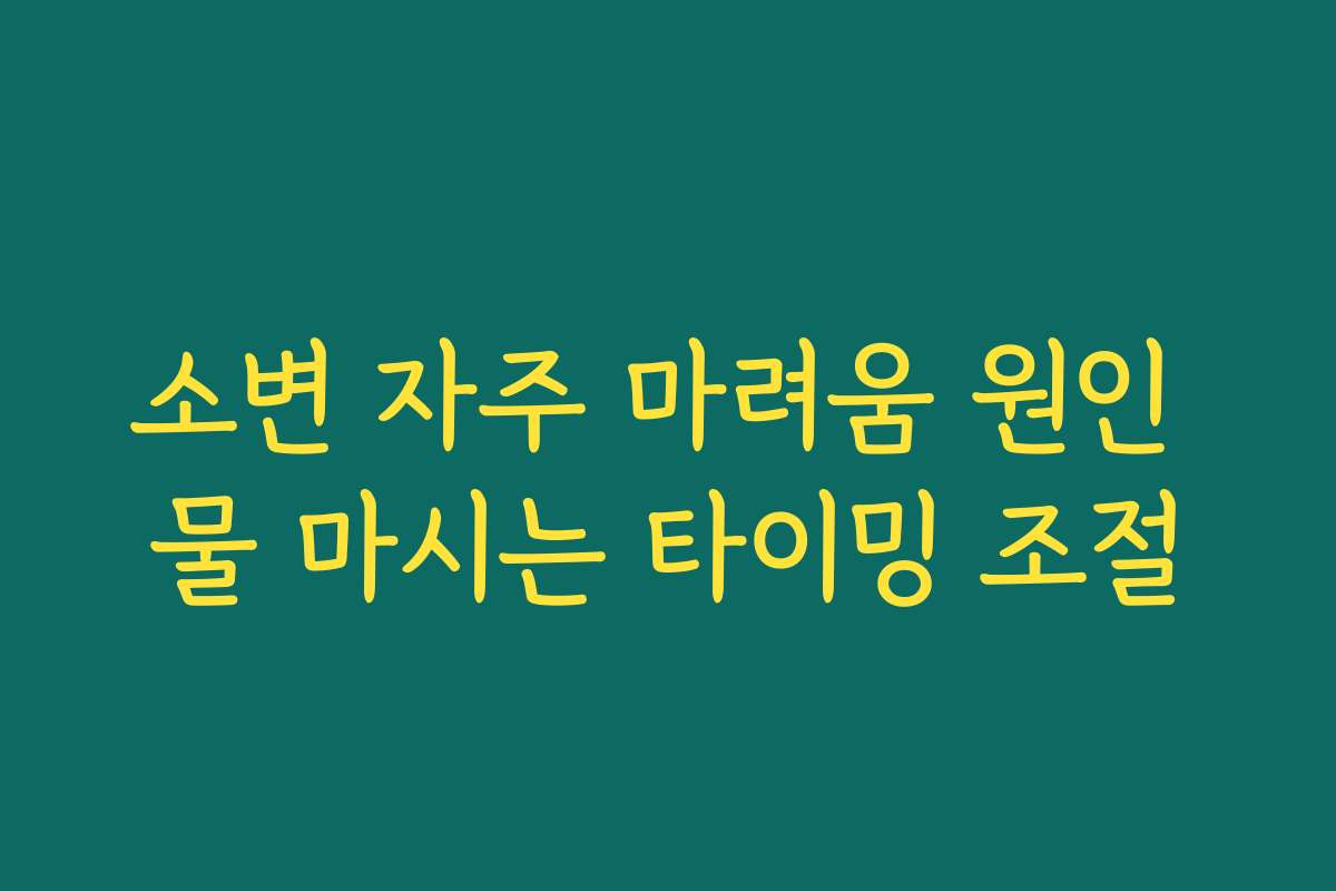 소변 자주 마려움 원인 물 마시는 타이밍 조절