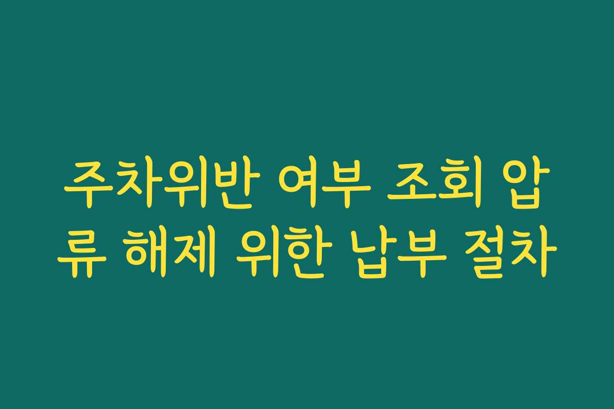 주차위반 여부 조회 압류 해제 위한 납부 절차
