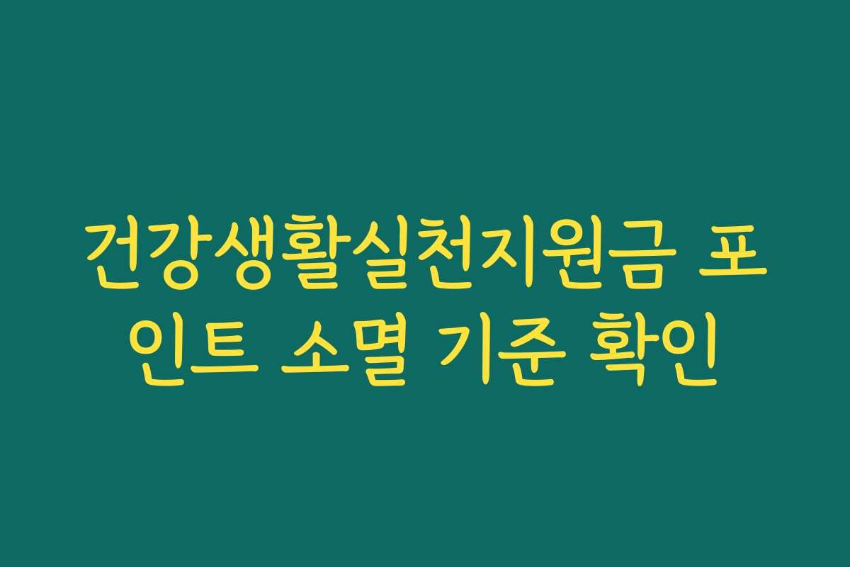 건강생활실천지원금 포인트 소멸 기준 확인
