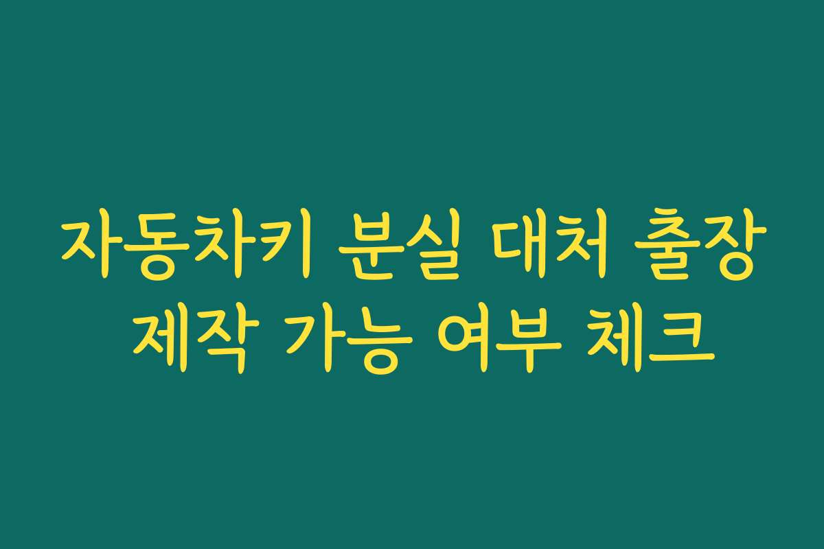 자동차키 분실 대처 출장 제작 가능 여부 체크