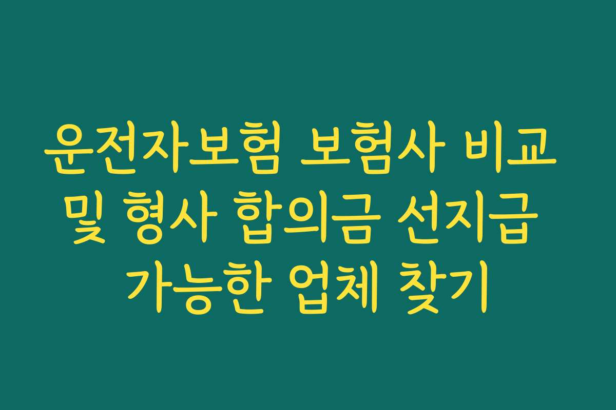 운전자보험 보험사 비교 및 형사 합의금 선지급 가능한 업체 찾기