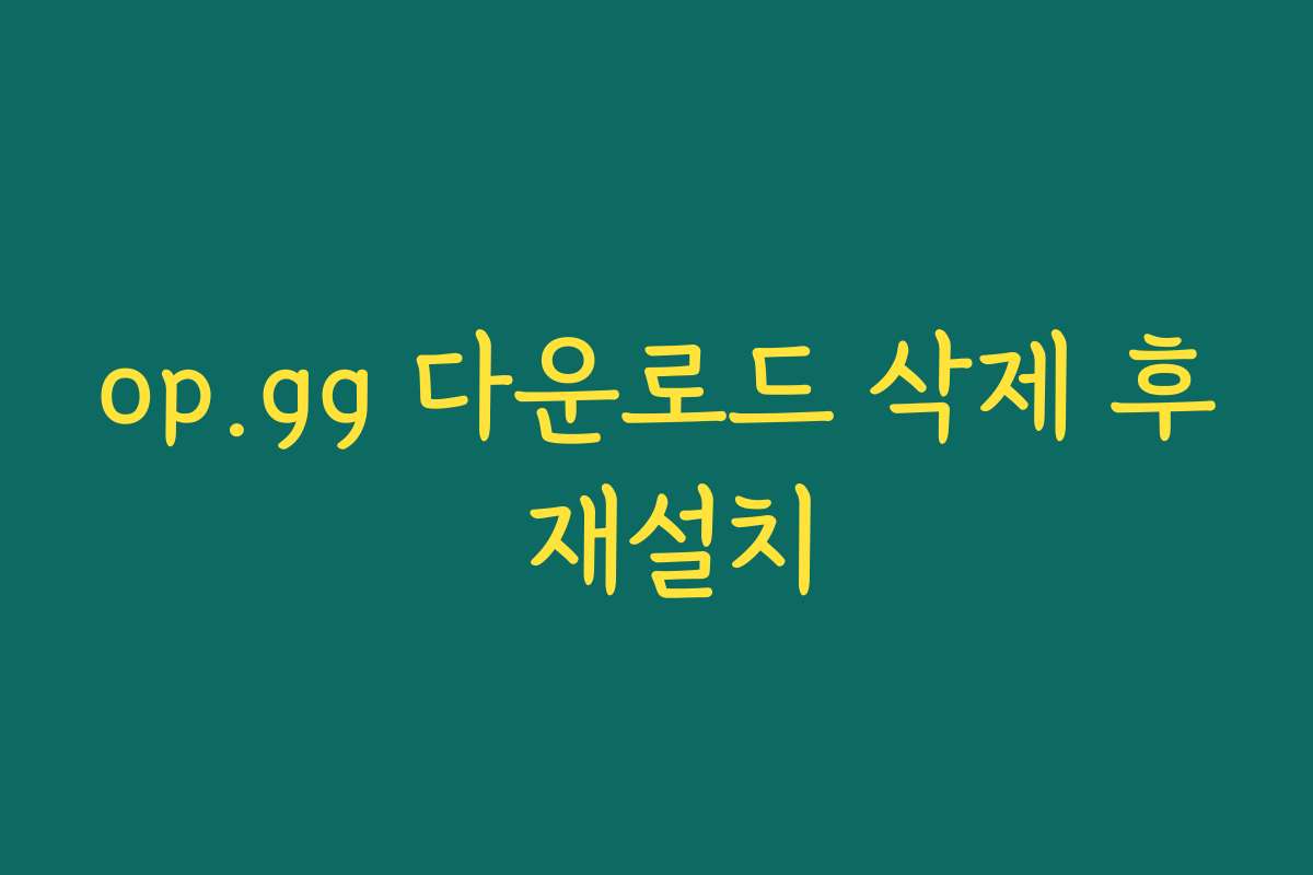 op.gg 다운로드 삭제 후 재설치