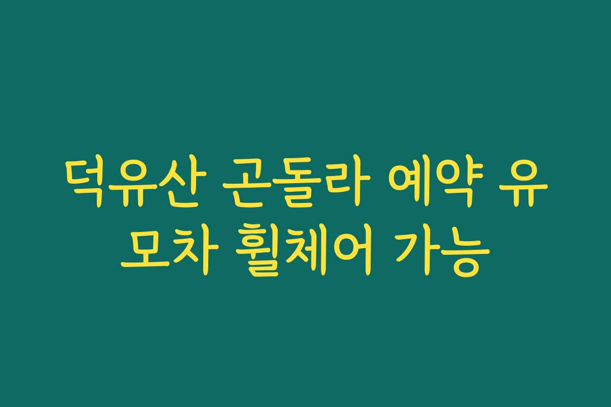 덕유산 곤돌라 예약 유모차 휠체어 가능