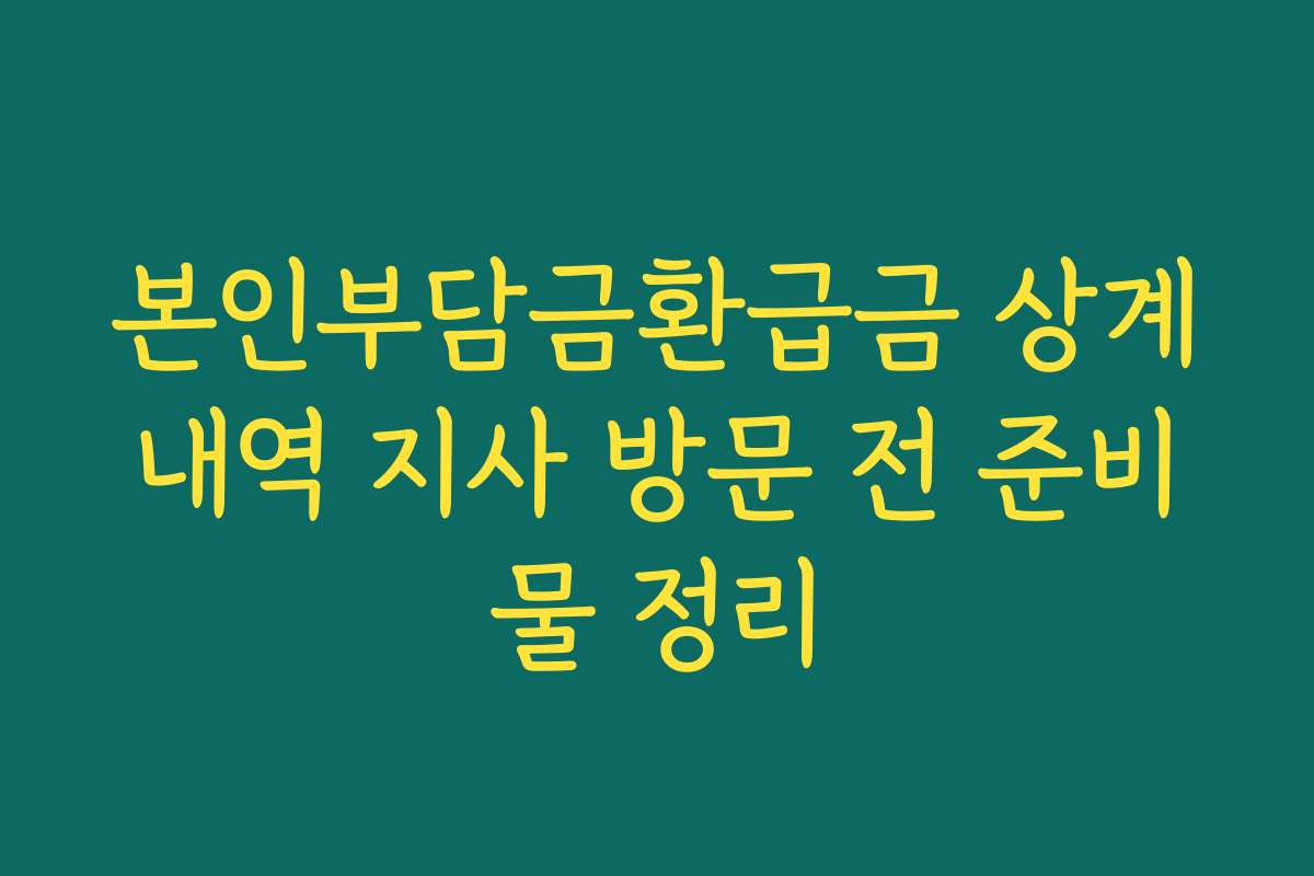 본인부담금환급금 상계내역 지사 방문 전 준비물 정리