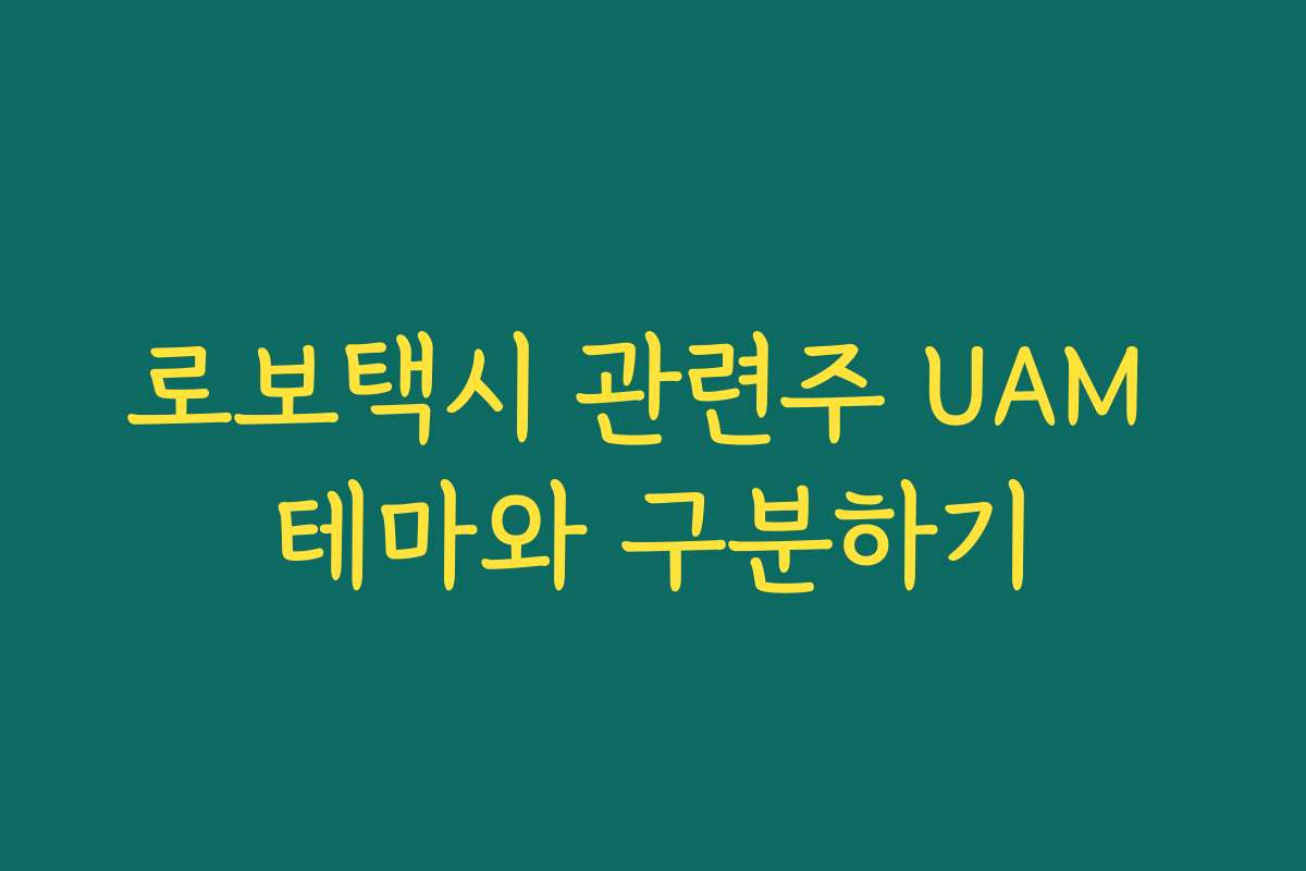 로보택시 관련주 UAM 테마와 구분하기