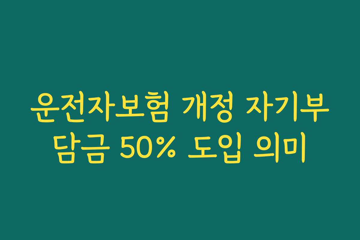 운전자보험 개정 자기부담금 50% 도입 의미
