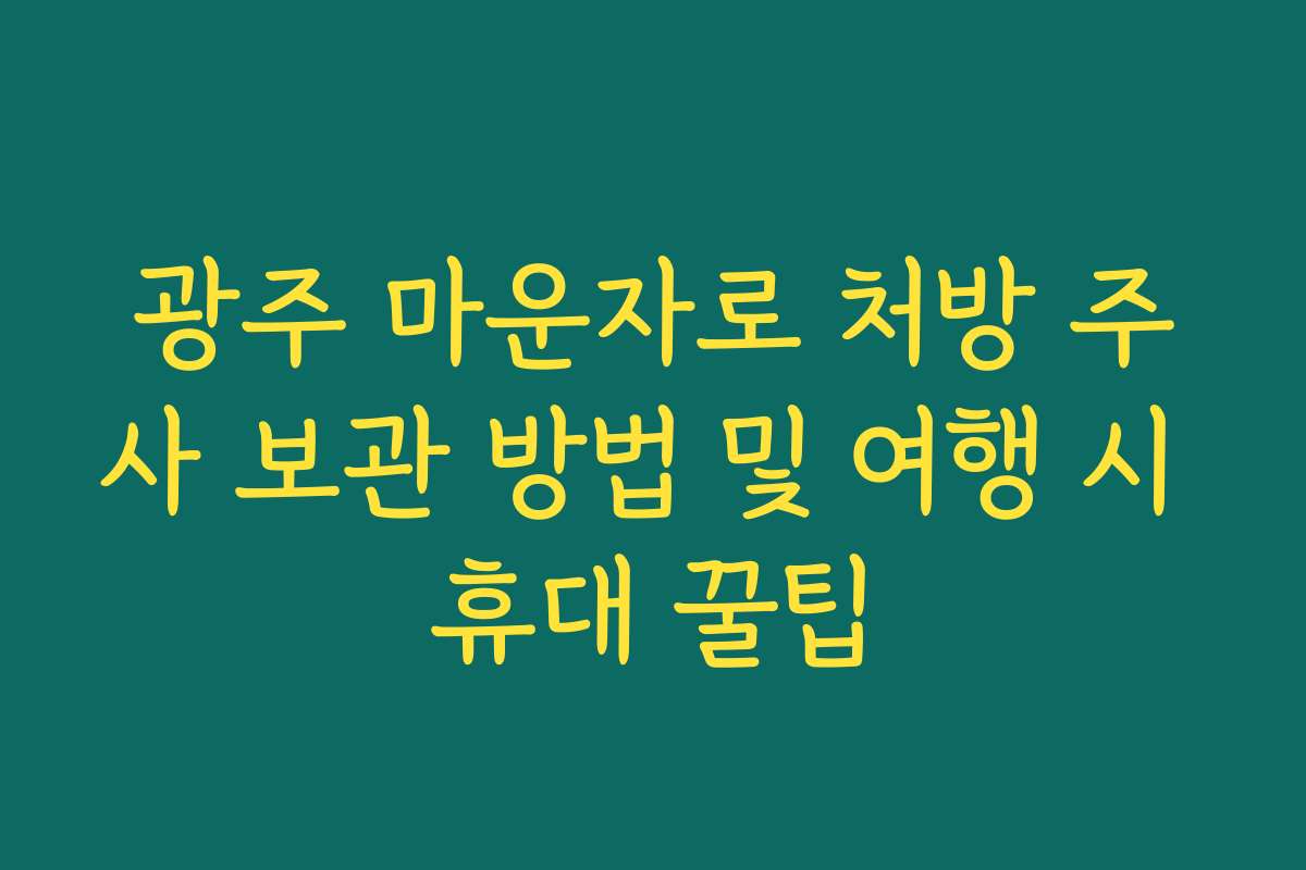 광주 마운자로 처방 주사 보관 방법 및 여행 시 휴대 꿀팁