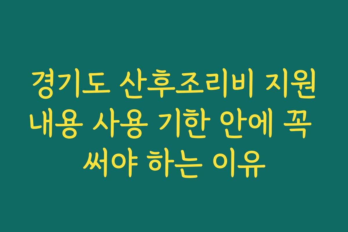 경기도 산후조리비 지원내용 사용 기한 안에 꼭 써야 하는 이유
