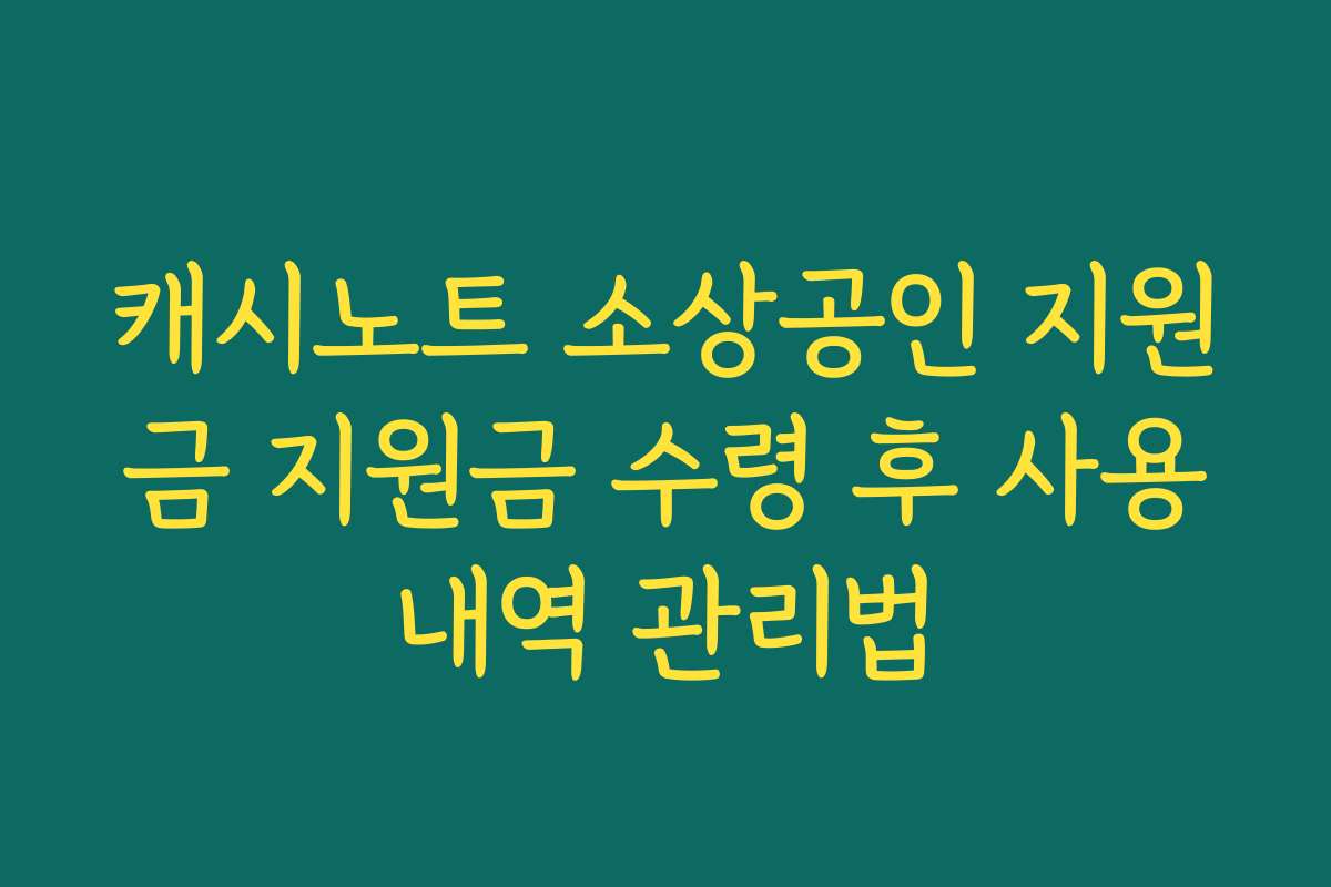 캐시노트 소상공인 지원금 지원금 수령 후 사용내역 관리법