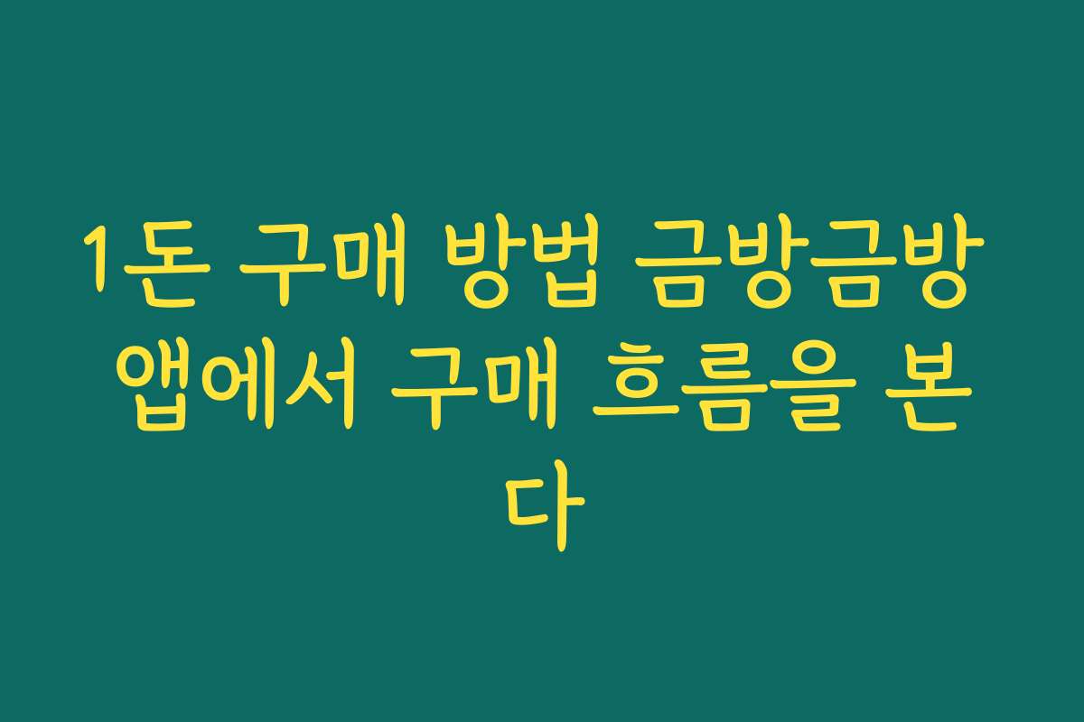 1돈 구매 방법 금방금방 앱에서 구매 흐름을 본다