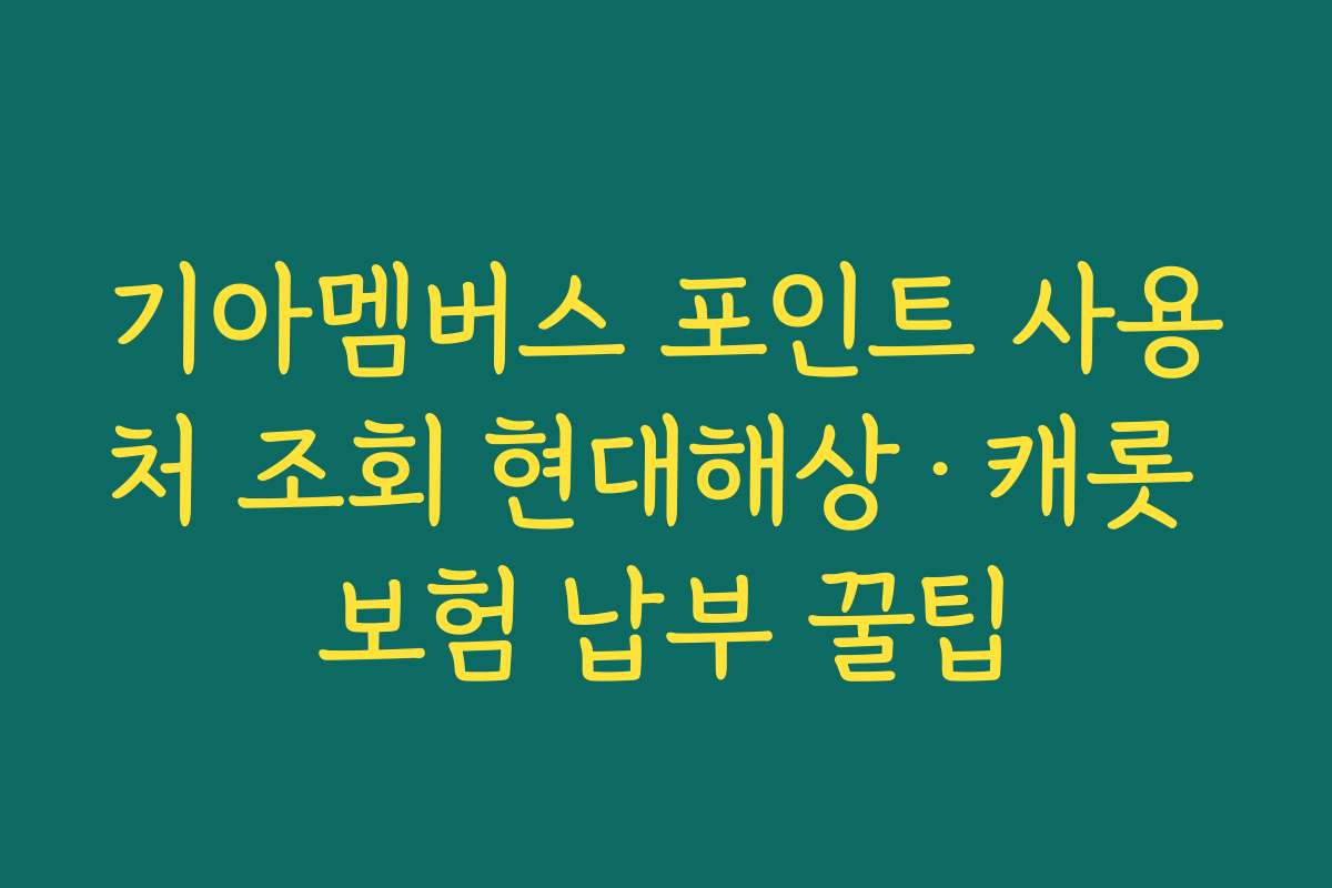 기아멤버스 포인트 사용처 조회 현대해상·캐롯 보험 납부 꿀팁