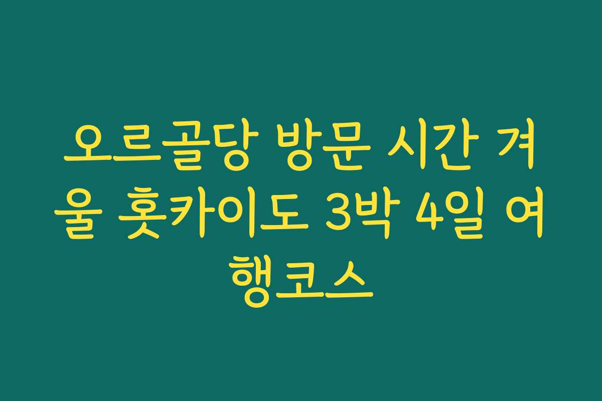 오르골당 방문 시간 겨울 홋카이도 3박 4일 여행코스