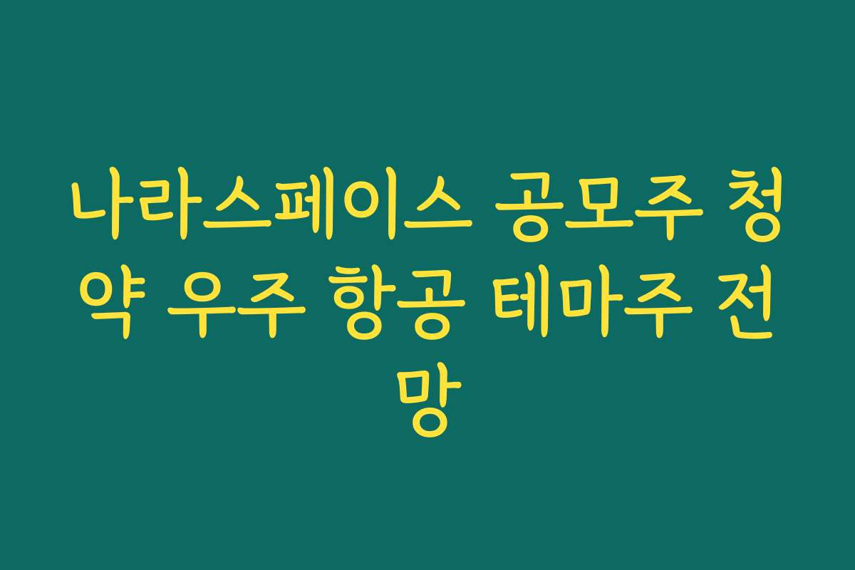 나라스페이스 공모주 청약 우주 항공 테마주 전망