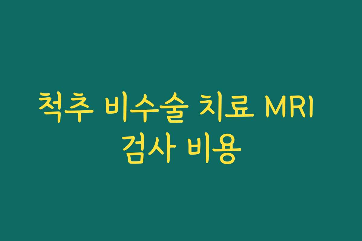 척추 비수술 치료 MRI 검사 비용