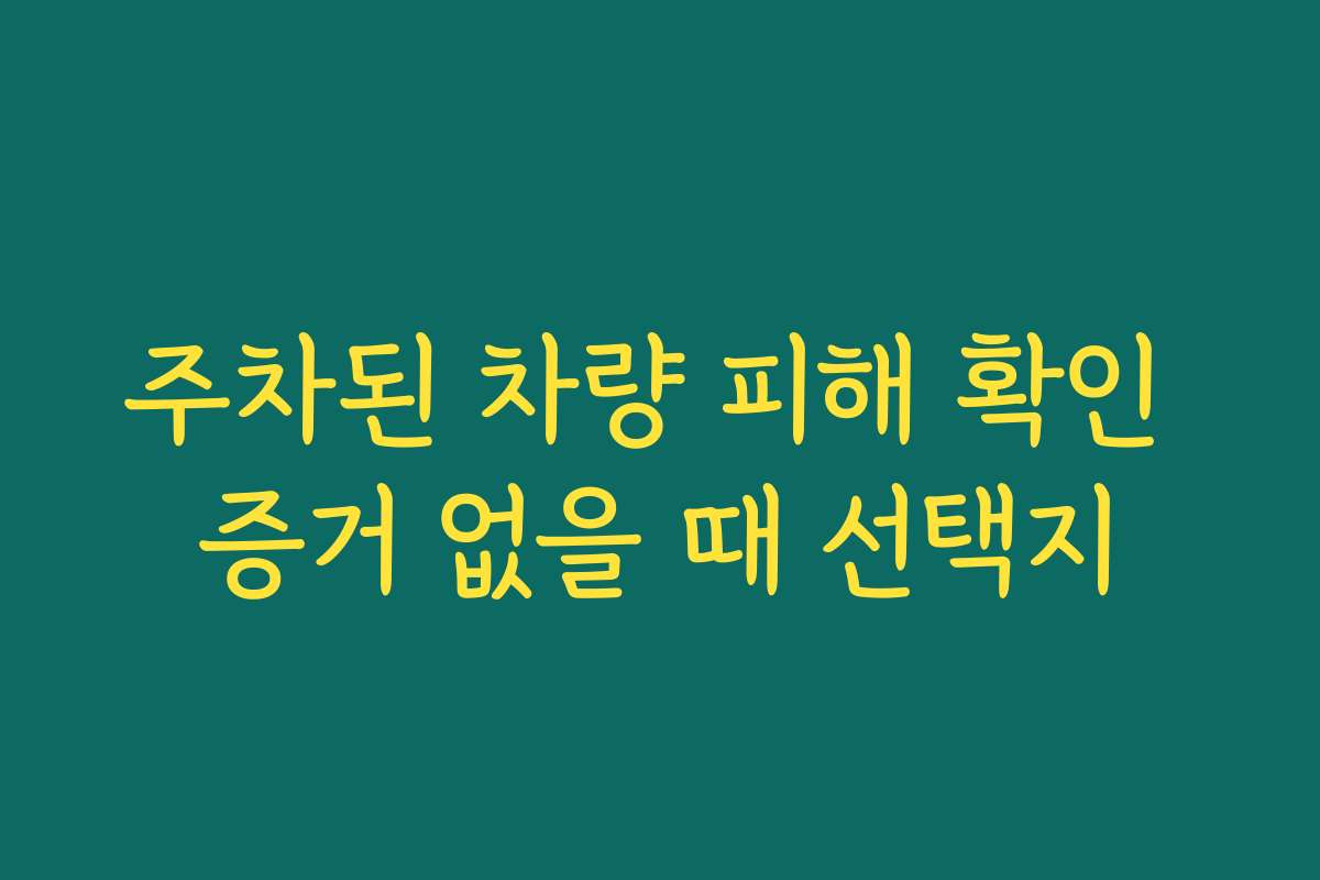 주차된 차량 피해 확인 증거 없을 때 선택지