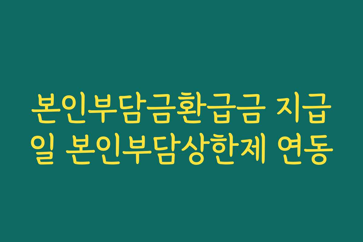 본인부담금환급금 지급일 본인부담상한제 연동