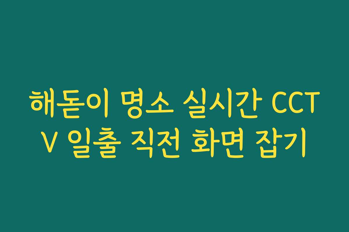 해돋이 명소 실시간 CCTV 일출 직전 화면 잡기