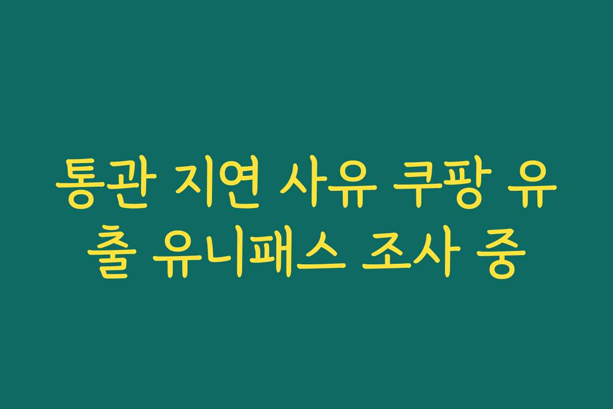 통관 지연 사유 쿠팡 유출 유니패스 조사 중