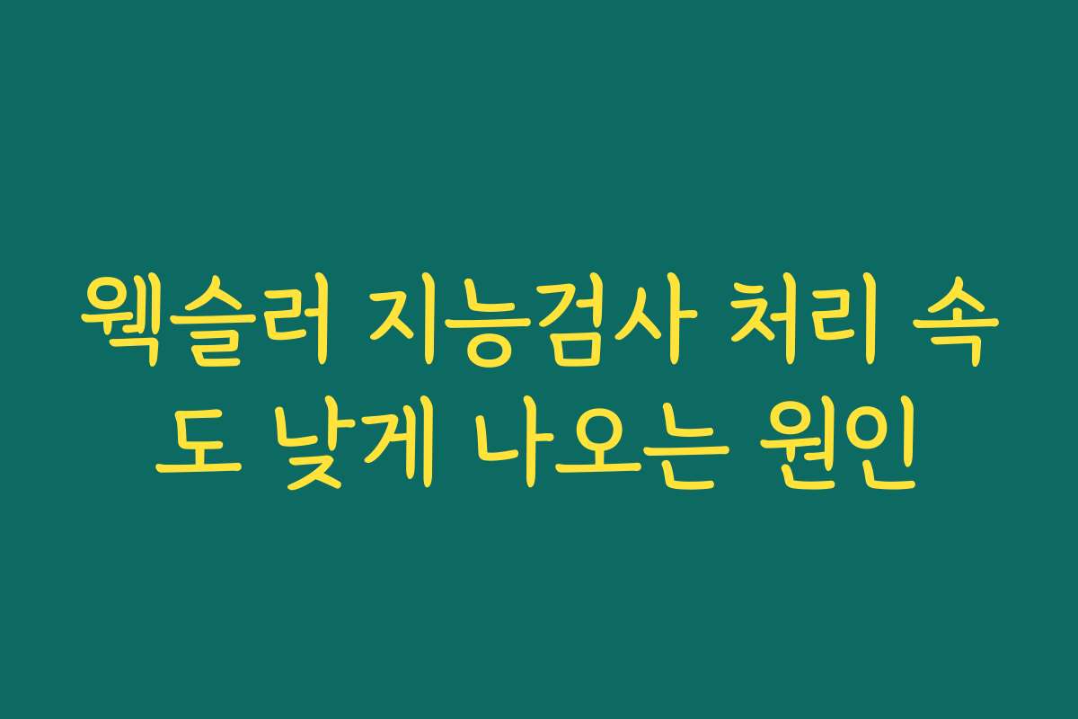 웩슬러 지능검사 처리 속도 낮게 나오는 원인