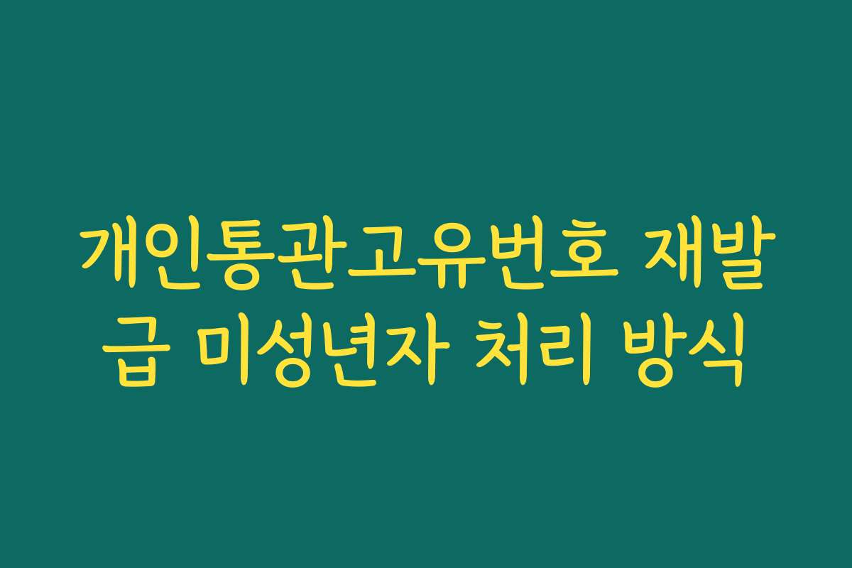 개인통관고유번호 재발급 미성년자 처리 방식