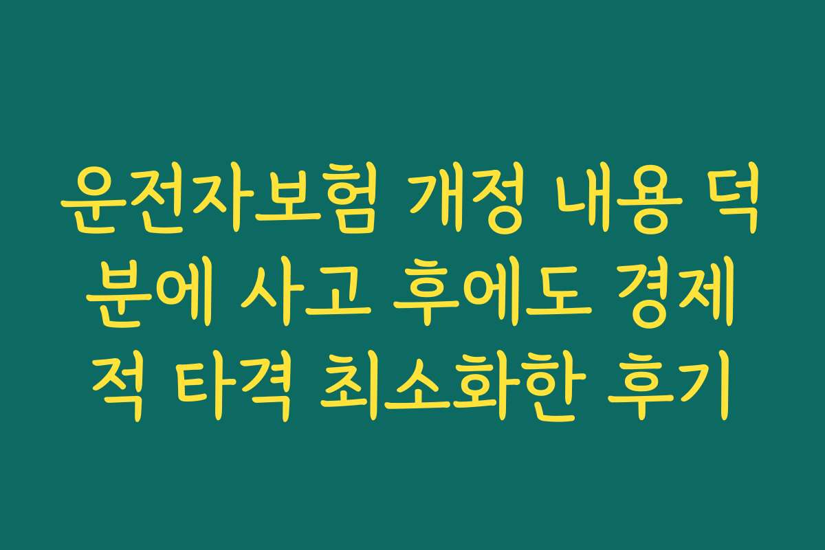 운전자보험 개정 내용 덕분에 사고 후에도 경제적 타격 최소화한 후기