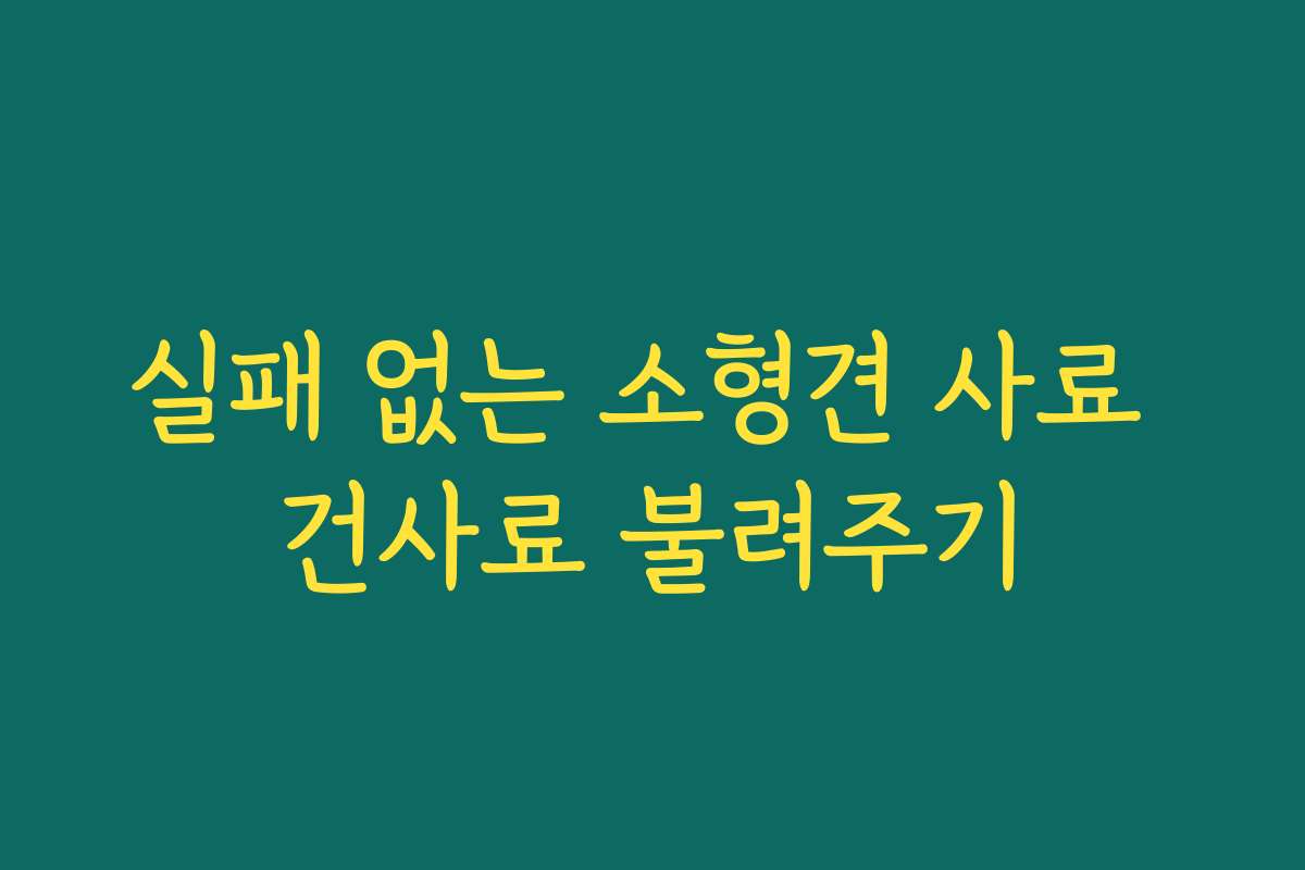 실패 없는 소형견 사료 건사료 불려주기