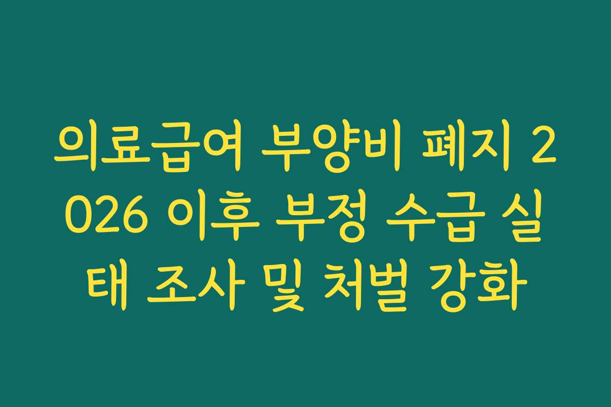 의료급여 부양비 폐지 2026 이후 부정 수급 실태 조사 및 처벌 강화