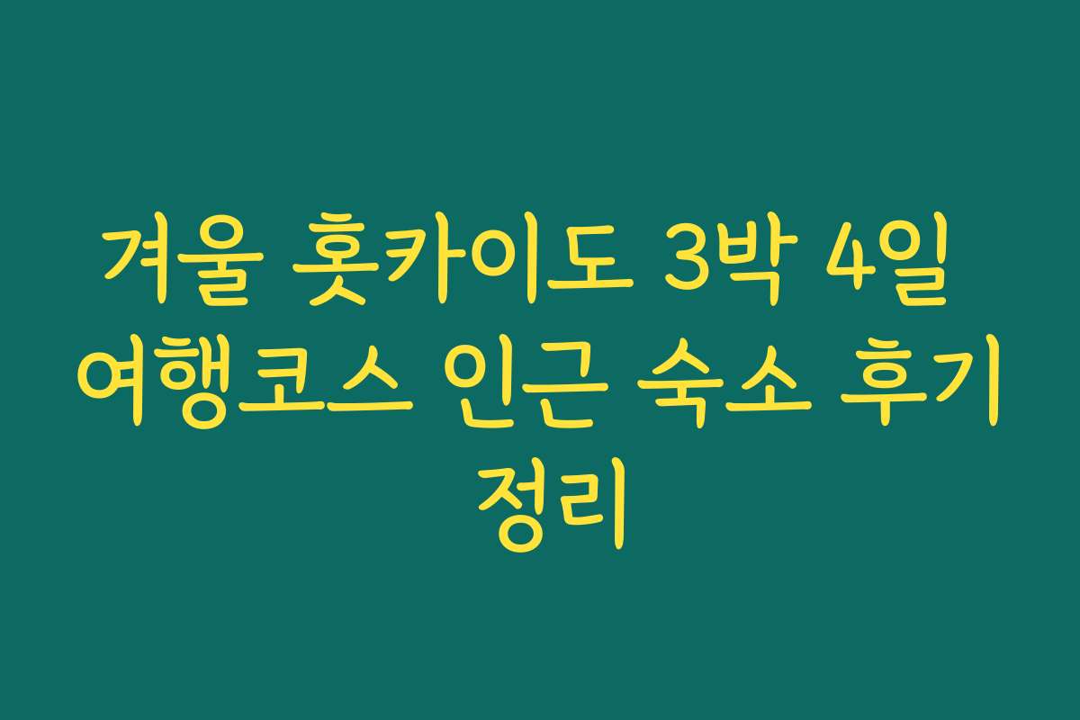 겨울 홋카이도 3박 4일 여행코스 인근 숙소 후기 정리