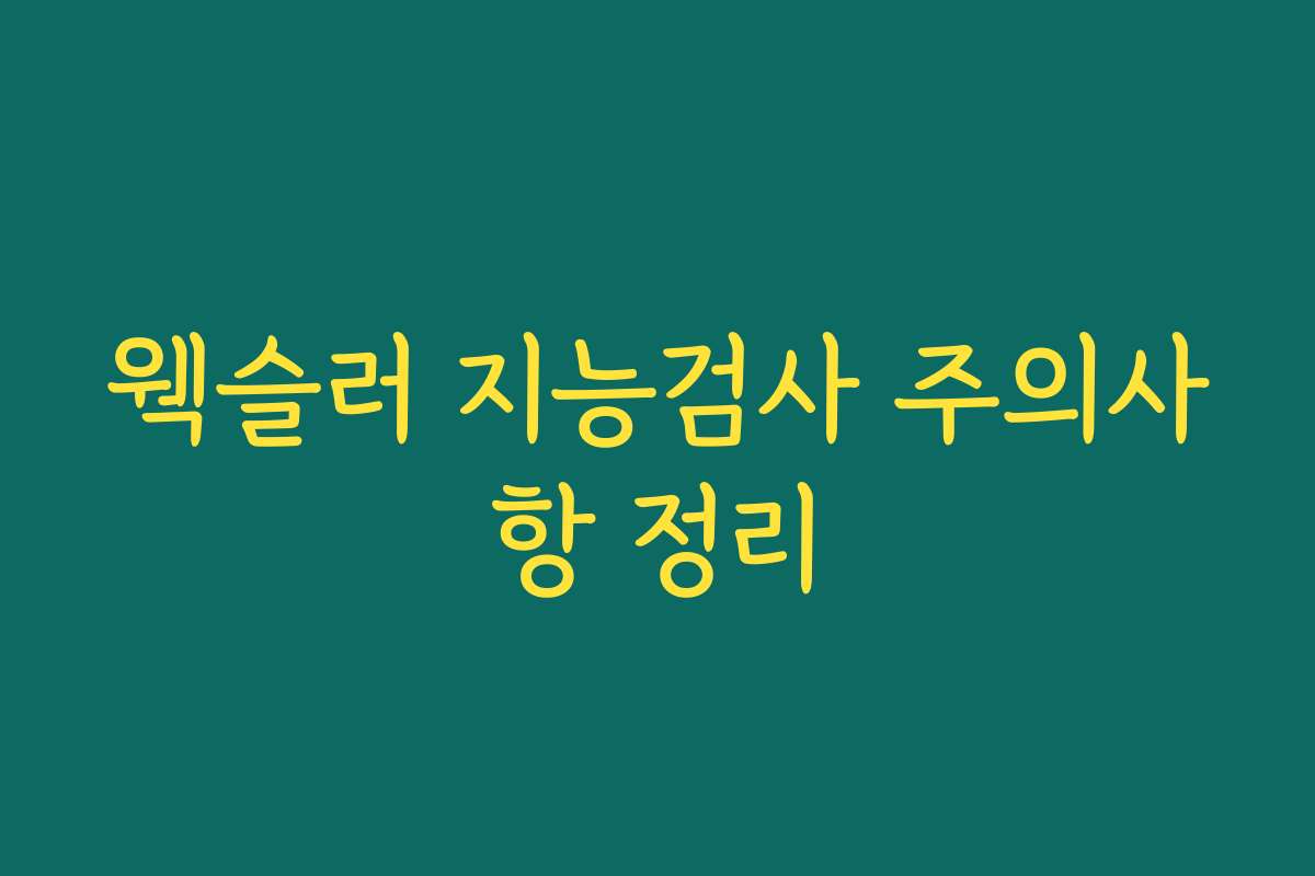 웩슬러 지능검사 주의사항 정리