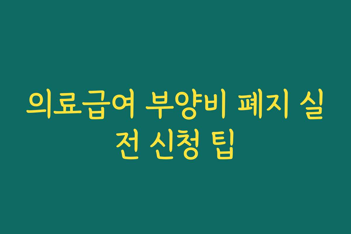 의료급여 부양비 폐지 실전 신청 팁
