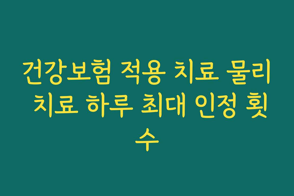 건강보험 적용 치료 물리 치료 하루 최대 인정 횟수
