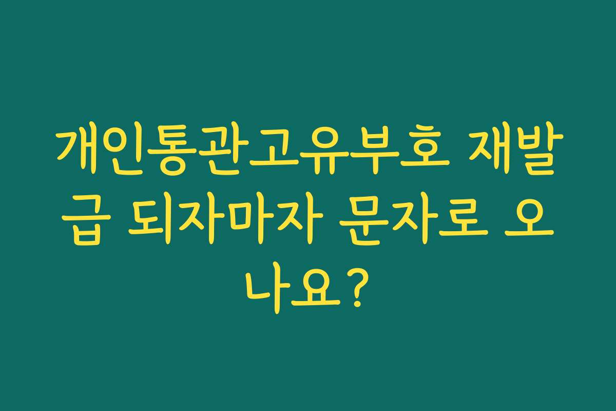 개인통관고유부호 재발급 되자마자 문자로 오나요?