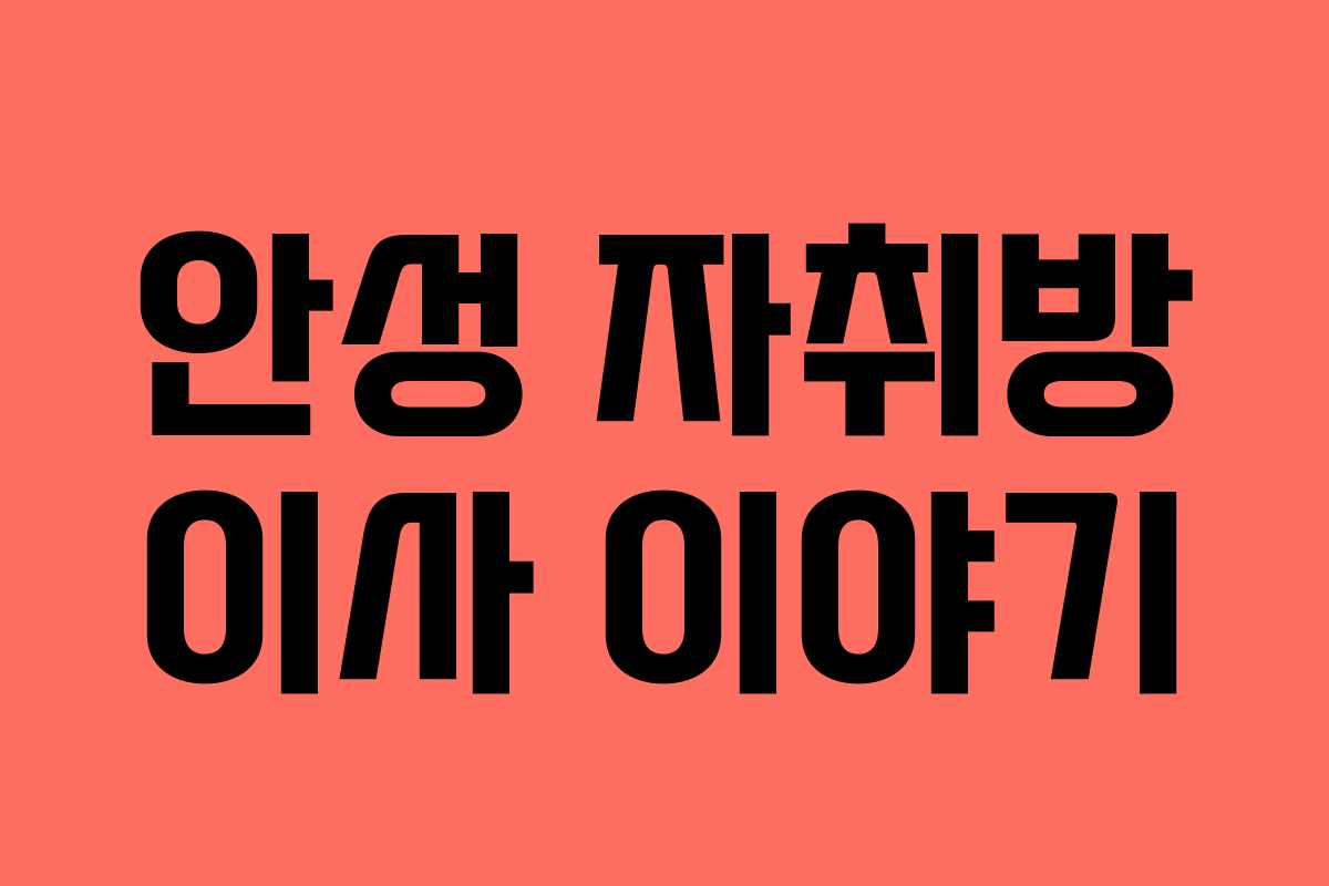 안성 자취방 이사 이야기