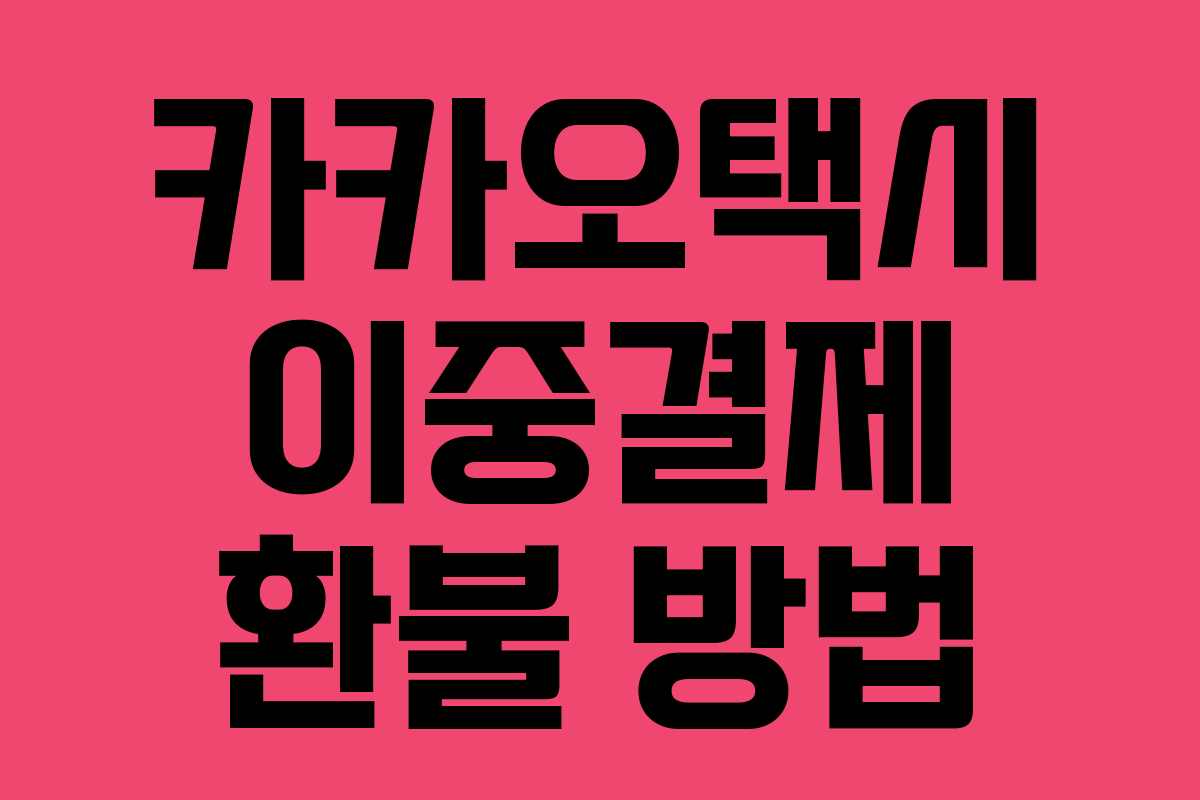 카카오택시 이중결제 환불 방법