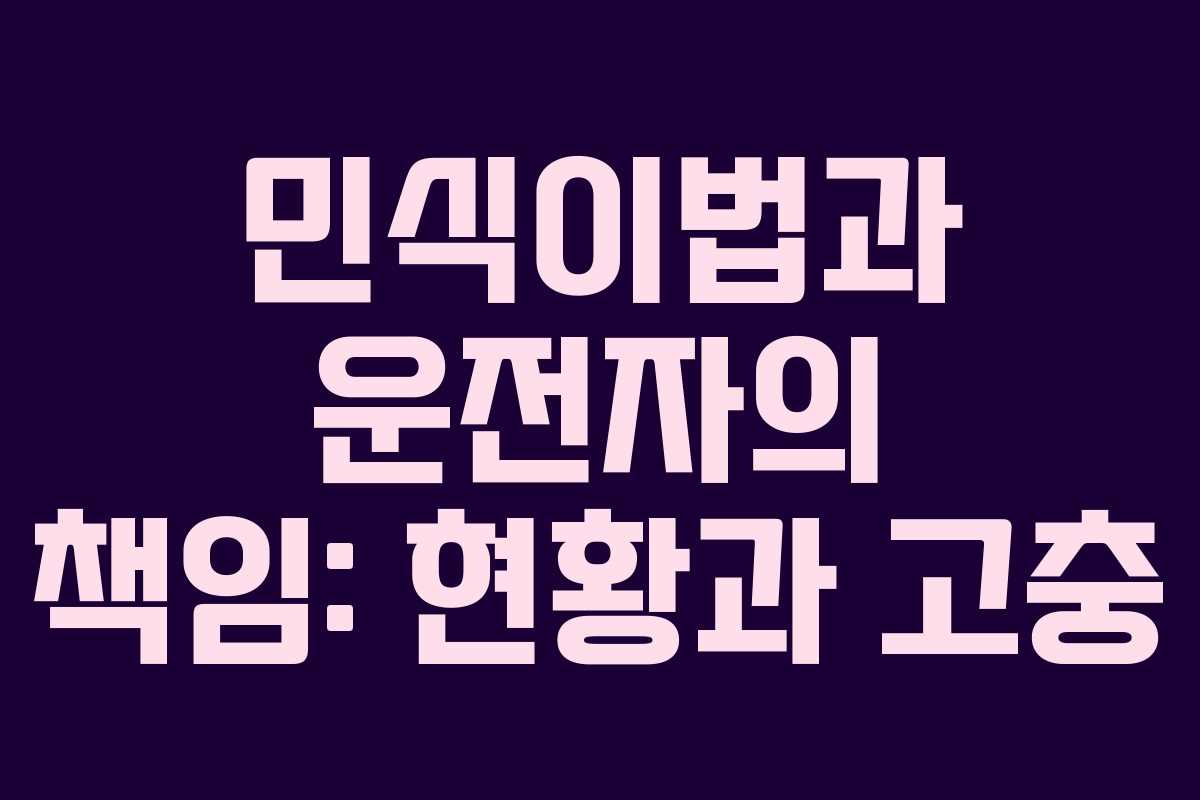 민식이법과 운전자의 책임: 현황과 고충