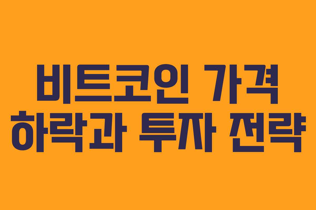 비트코인 가격 하락과 투자 전략