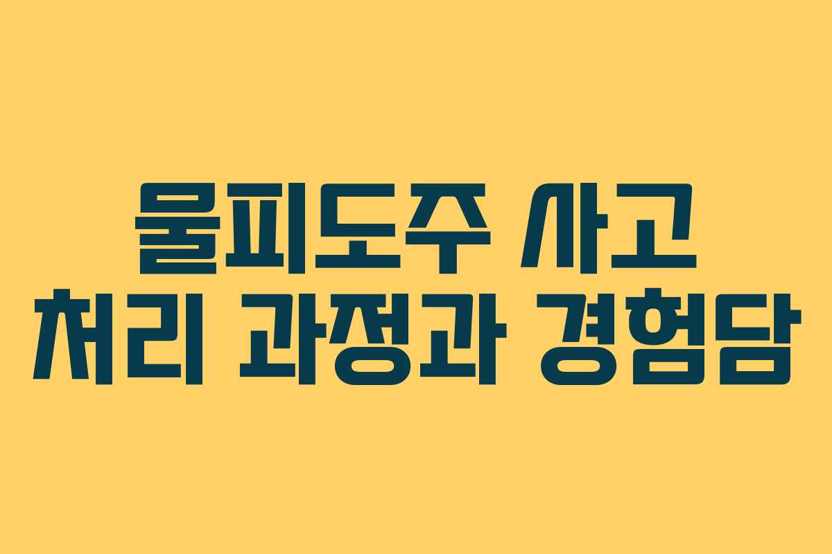 물피도주 사고 처리 과정과 경험담