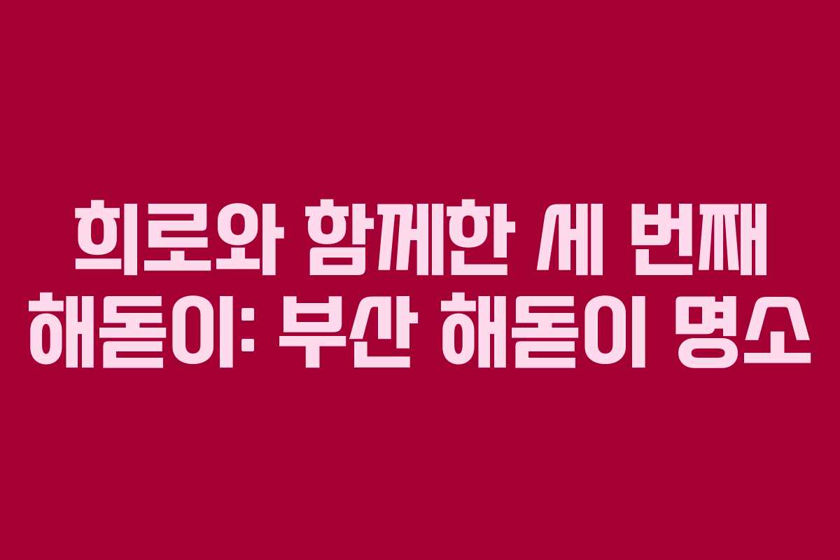 희로와 함께한 세 번째 해돋이: 부산 해돋이 명소