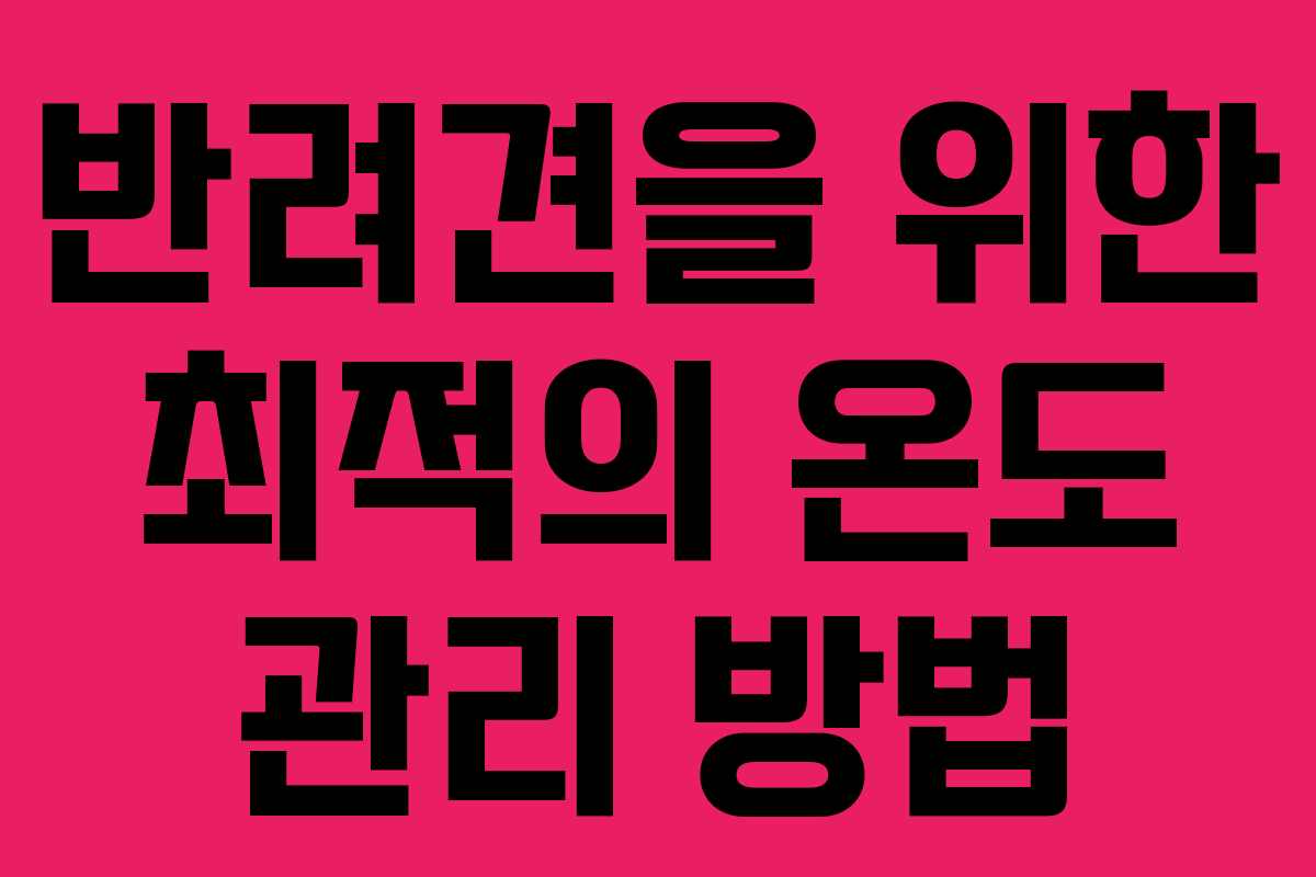 반려견을 위한 최적의 온도 관리 방법