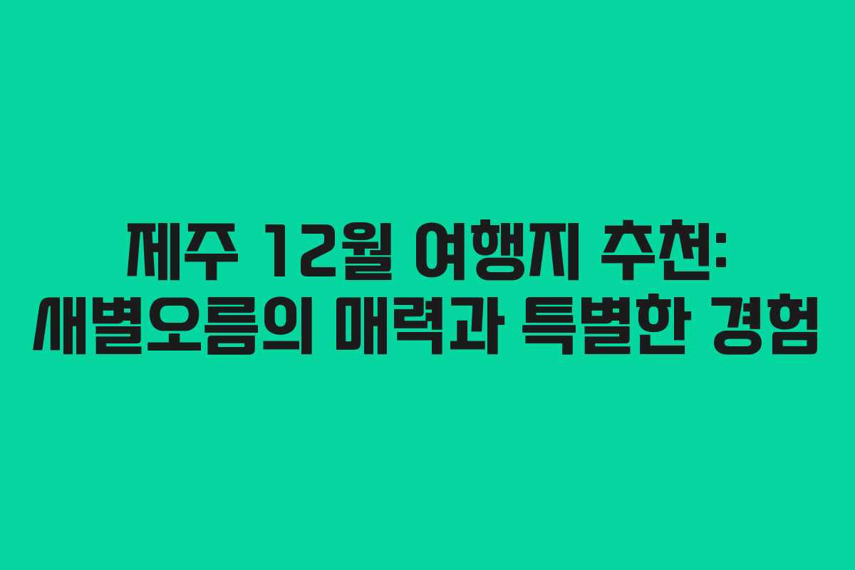 제주 12월 여행지 추천: 새별오름의 매력과 특별한 경험