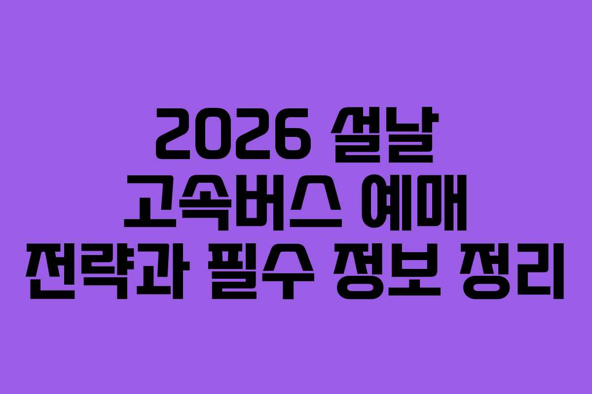 2026 설날 고속버스 예매 전략과 필수 정보 정리