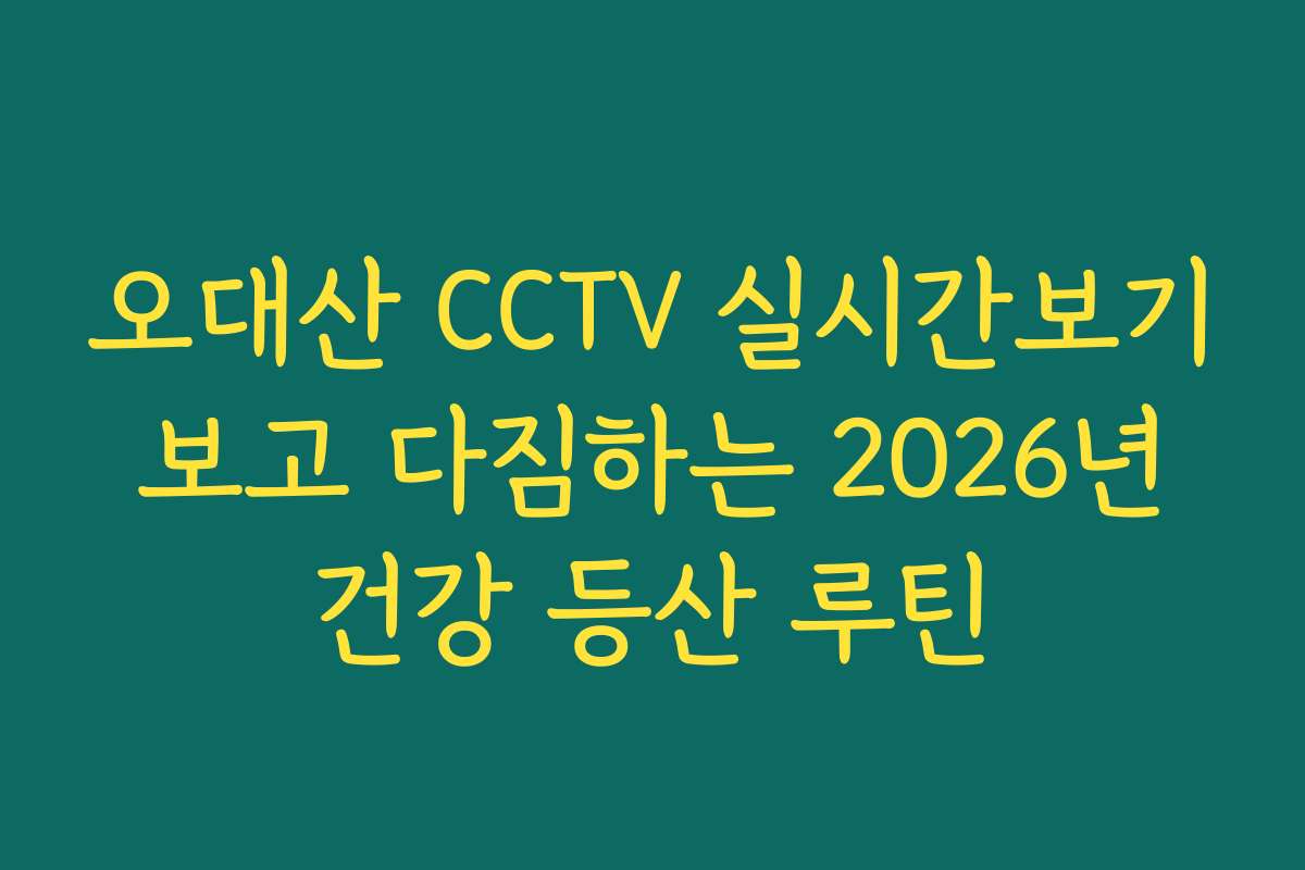 오대산 CCTV 실시간보기 보고 다짐하는 2026년 건강 등산 루틴