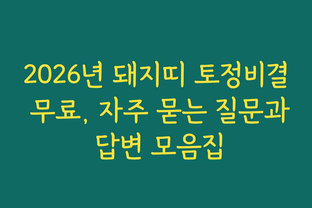 2026년 돼지띠 토정비결 무료, 자주 묻는 질문과 답변 모음집