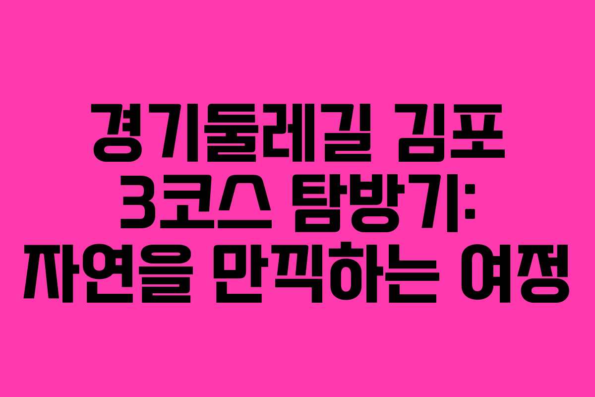 경기둘레길 김포 3코스 탐방기: 자연을 만끽하는 여정