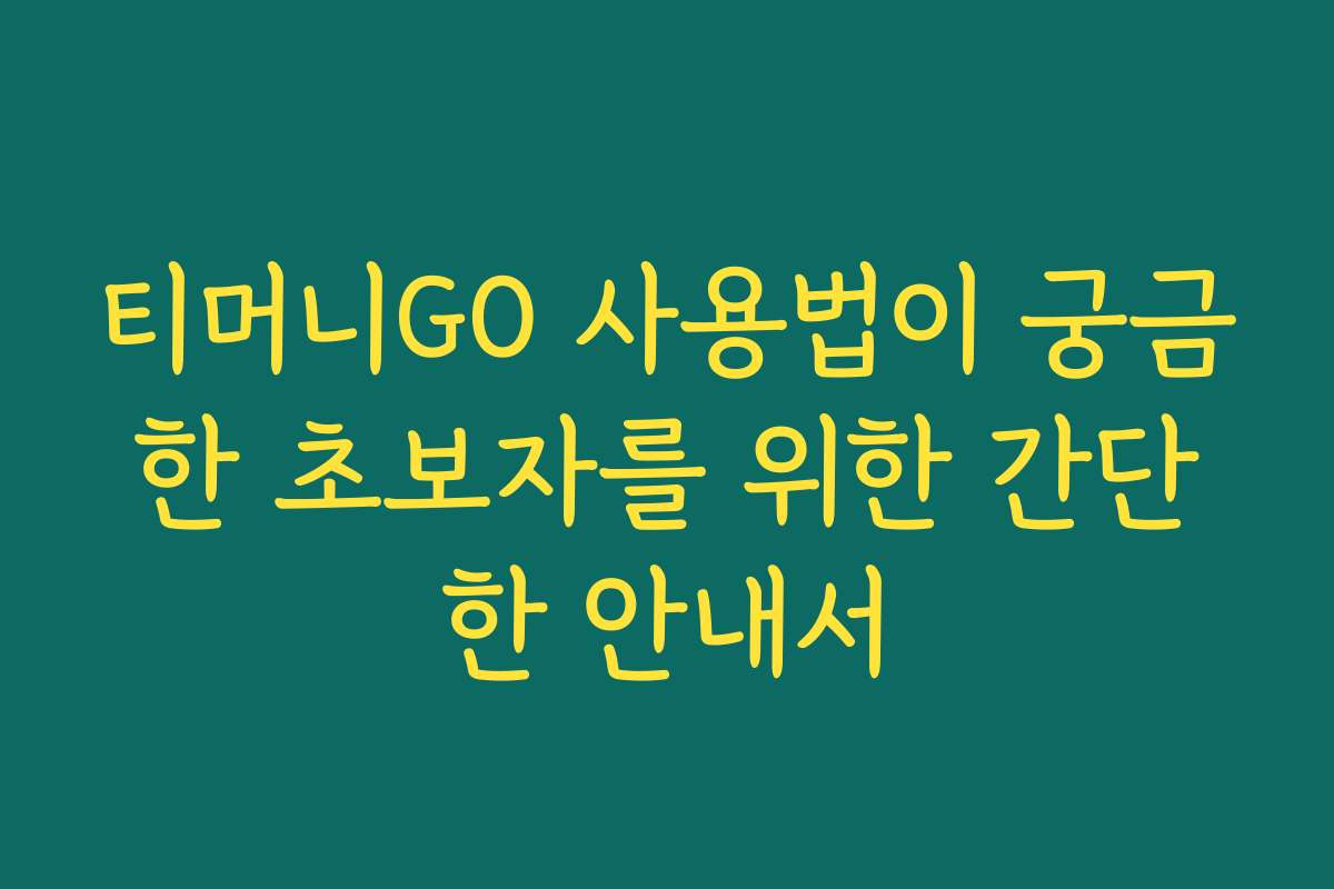 티머니GO 사용법이 궁금한 초보자를 위한 간단한 안내서