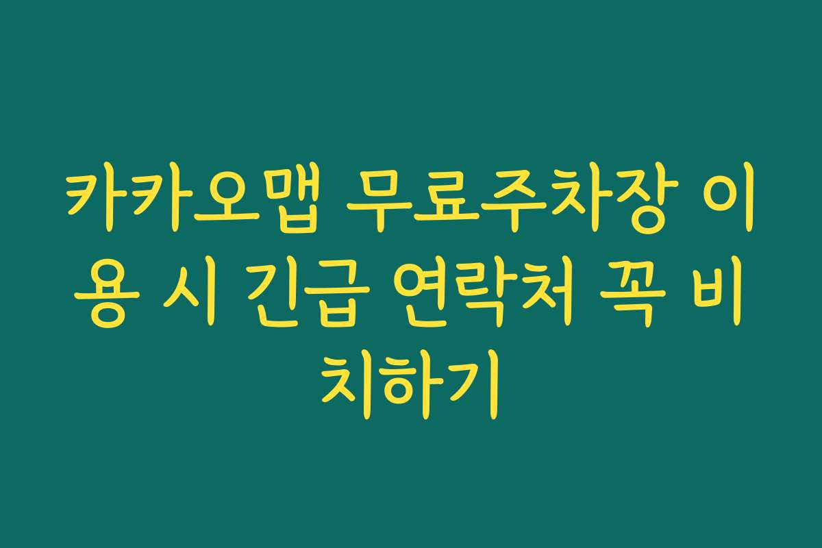 카카오맵 무료주차장 이용 시 긴급 연락처 꼭 비치하기