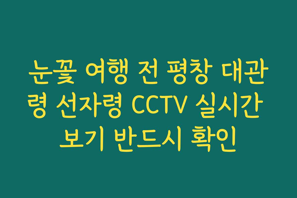 눈꽃 여행 전 평창 대관령 선자령 CCTV 실시간 보기 반드시 확인