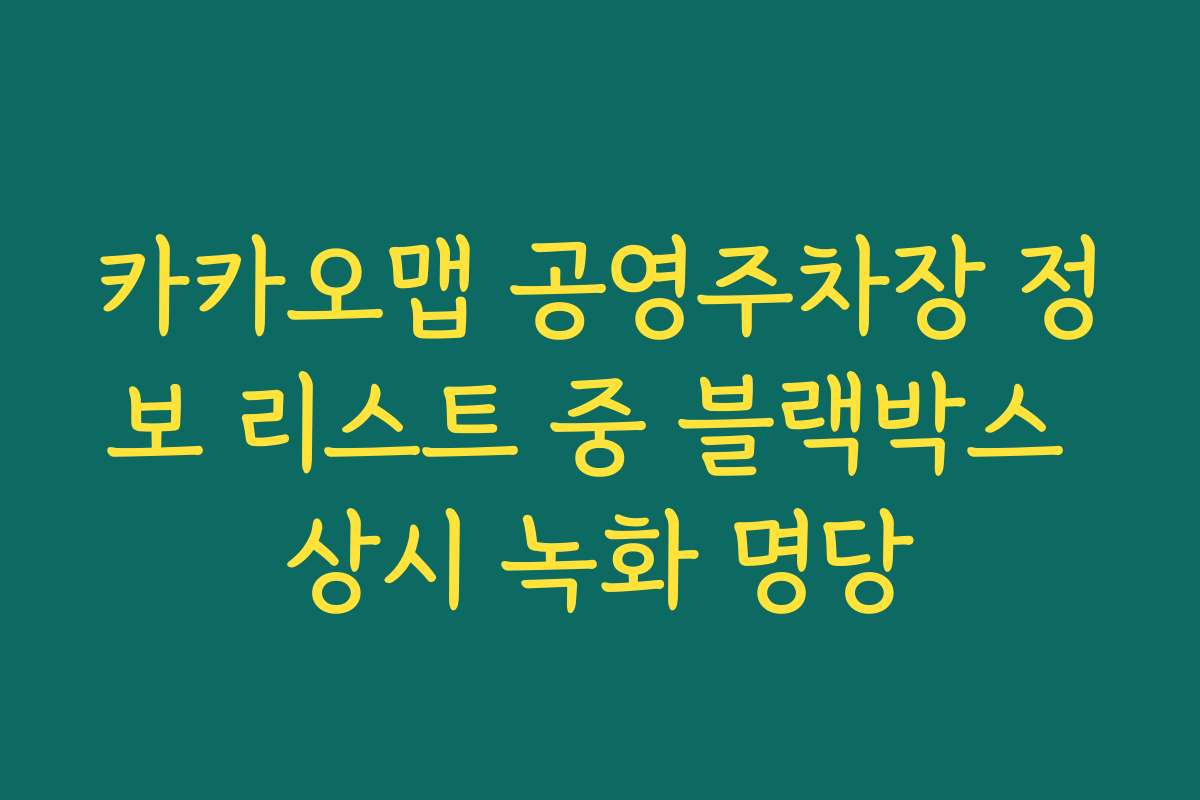 카카오맵 공영주차장 정보 리스트 중 블랙박스 상시 녹화 명당